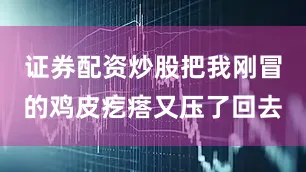证券配资炒股把我刚冒的鸡皮疙瘩又压了回去